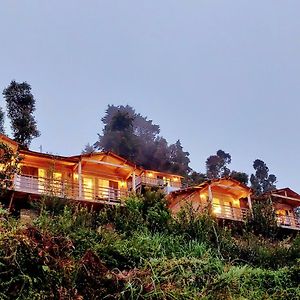 Treehouse Resort